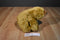 Wild Republic Beige Grizzly Bear 2008 Beanbag Plush