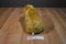 Wild Republic Beige Grizzly Bear 2008 Beanbag Plush