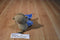 Carter's Child of Mine Brown Monkey With Blue Captain Adorable Airplane Security Blanket
