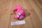 Just Play Care Bears Pink Cheer Bear 2015 Beanbag Plush