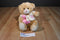 Keel Toys Baby Girl Beige Teddy Bear Beanbag Plush Pink Duck