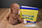 Applause Curious George Plush and Book