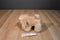 Toby NYC Beige Dog Beanbag Plush with Pink Bows