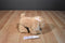 Toby NYC Beige Dog Beanbag Plush with Pink Bows