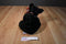 Mary Meyer Flip Flop Scottish Terrier Beanbag Plush