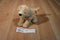 Douglas Golden Labradoodle Dog Beanbag Plush