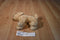 Douglas Golden Labradoodle Dog Beanbag Plush