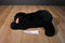 Ty Classic Shadow the Black Bear 1992 Beanbag Plush