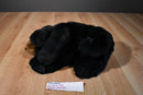Ty Classic Shadow the Black Bear 1992 Beanbag Plush