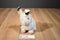 Russ Quentin Arctic Hare Beanbag Plush