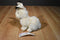 Russ Quentin Arctic Hare Beanbag Plush