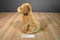Circo Brown Lab Puppy Dog 2010 Plush