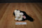 Russ Misty Black and White Cat Beanbag Plush Wearing a Red Bow