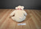 Aeropostale A87 Beige Teddy Bear Plush