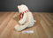 Aeropostale A87 Beige Teddy Bear Plush