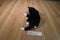 Ty Buddies Booties Black and White Cat 2004 Beanbag Plush