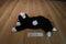 Ty Buddies Booties Black and White Cat 2004 Beanbag Plush