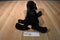 Douglas Chester the Black Lab Beanbag