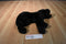 Douglas Chester the Black Lab Beanbag