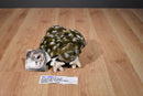 Stuffed Animal House Spotted Owl Beanbag Plush