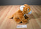 Wild Republic Mountain  Lion Puma  Cougar  Cub 2012 Beanbag Plush