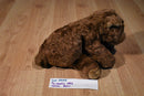 Ty Classic Cocoa Brown Bear 1996 Beanbag Plush