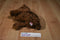 Ty Classic Cocoa Brown Bear 1996 Beanbag Plush