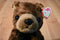 Ty Classic Cocoa Brown Bear 1996 Beanbag Plush