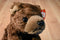 Ty Classic Cocoa Brown Bear 1996 Beanbag Plush