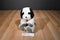 Big Dogs Sports Wear Black and White Saint Bernard Beanbag Plush