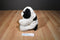 Big Dogs Sports Wear Black and White Saint Bernard Beanbag Plush