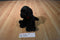 Gund Boomer the Black Lab Puppy Dog # 13012 Beanbag Plush