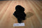 Gund Boomer the Black Lab Puppy Dog # 13012 Beanbag Plush