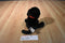 Gund Boomer the Black Lab Puppy Dog