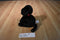Gund Boomer the Black Lab Puppy Dog