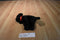 Gund Boomer the Black Lab Puppy Dog