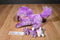 Just Play Ed Kaplan Puppy Surprise Chloe Purple Dog and Puppies 2017 Plush