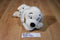 Walt Disney Company 101 Dalmatians Penny Beanbag Plush