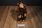 Mary Meyer Brown Monkey Beanbag Plush