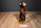 Mary Meyer Brown Monkey Beanbag Plush