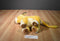 Disney Store The Lion King Simba Authentic Beanbag Plush