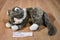 Ty Classic O'Malley Brown and Grey Tabby Cat 2002 Beanbag Plush