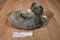 Ty Classic O'Malley Brown and Grey Tabby Cat 2002 Beanbag Plush