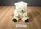 Wideway Cream/Beige Colored Teddy Bear Plush