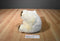 Wideway Cream/Beige Colored Teddy Bear Plush