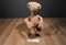 Toy Factory E.T. Extra Terrestrial 2019 Plush