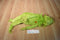 Kohl's Grinch and Max Plush