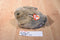 Ty Classic Nibbles Brown Bunny Rabbit 1993 Beanbag Plush