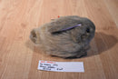 Ty Classic Nibbles Brown Bunny Rabbit 1993 Beanbag Plush