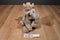 Second Nature Design Cuddly Quarry Moose 2003 Beanbag Plush